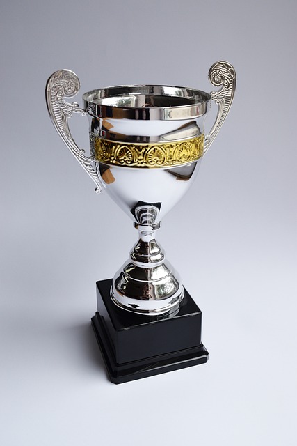 https://pixabay.com/pl/photos/trofeum-nagroda-zwyci%C4%99zca-puchar-2754166/