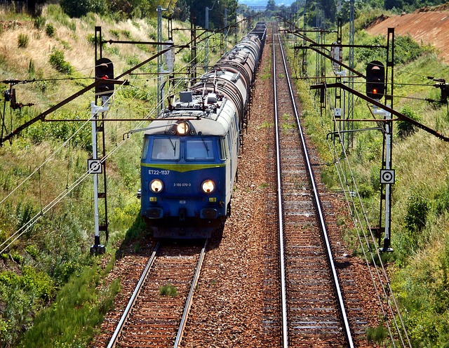 https://pixabay.com/pl/photos/poci%C4%85g-tory-transport-lokomotywa-1506645/