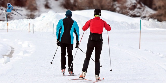 https://pixabay.com/pl/photos/biegi-narciarskie-zima-%C5%9Bnieg-sporty-3020751/