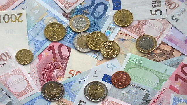 https://pixabay.com/pl/photos/euro-banknoty-monety-1166051/